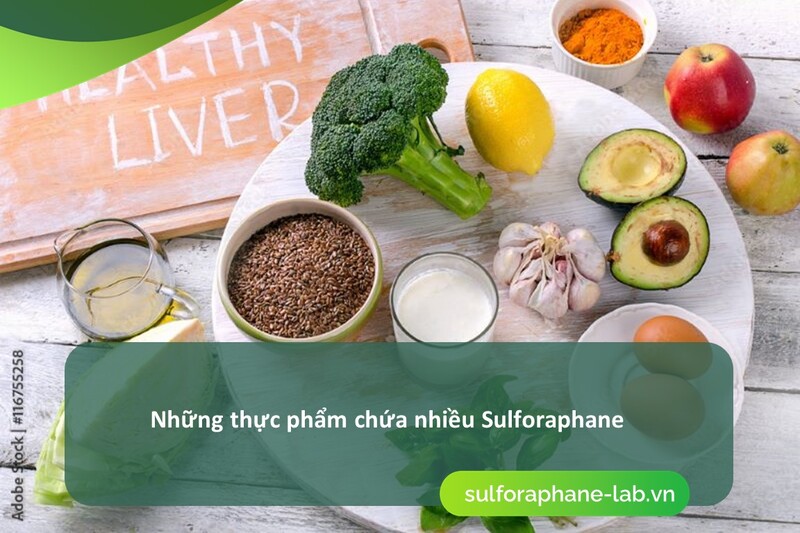sulforaphane-ho-tro-gan-nho-co-che-san-xuat-men-vi-sinh-thai-doc-so-3.jpg