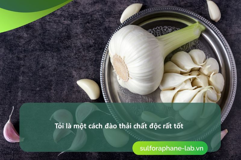 cach-dao-thai-chat-doc-ra-khoi-co-the-tu-an-nhung-thuc-pham-quen-thuoc-so-2.jpg