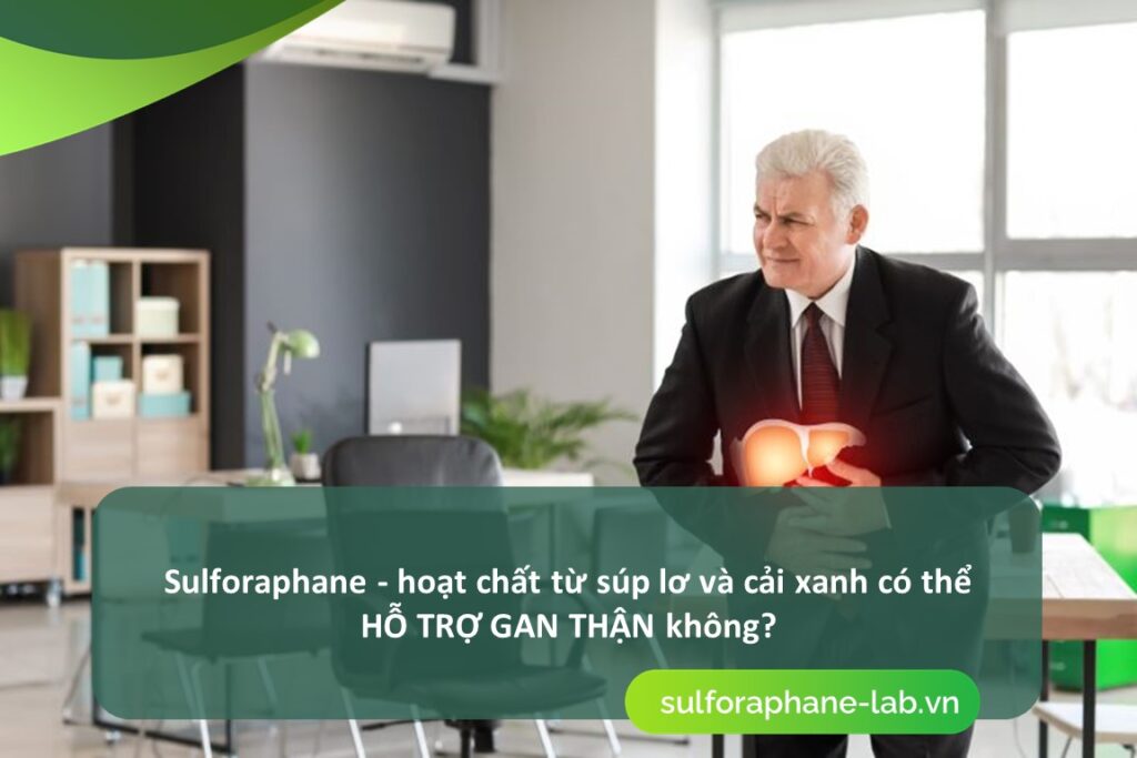 Sulforaphane - hoat chat tu sup lo va cai xanh co the ho tro gan than khong ?