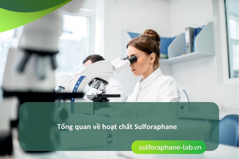 hoat-chat-sulforaphane-trong-phong-ngua-ung-thu-gan-so-1.jpg
