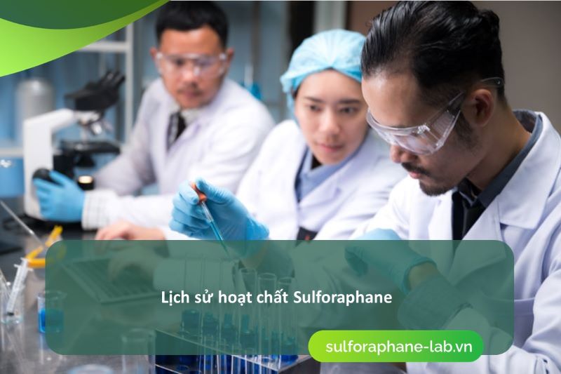 qua-trinh-dao-thai-chat-doc-cung-hoat-chat-sulforaphane-co-trong-sup-lo-xanh-so-1.jpg