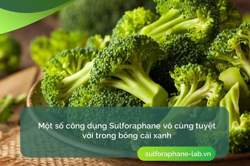 sulforaphane-tu-sup-lo-xanh-co-tot-khong-so-2.jpg