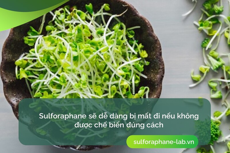 sulforaphane-tu-sup-lo-xanh-co-tot-khong-so-3.jpg