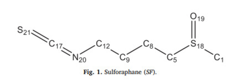 sulforaphane-mot-san-pham-tu-nhien-chong-lai-cac-loai-oxy-phan-ung-so-2.jpg
