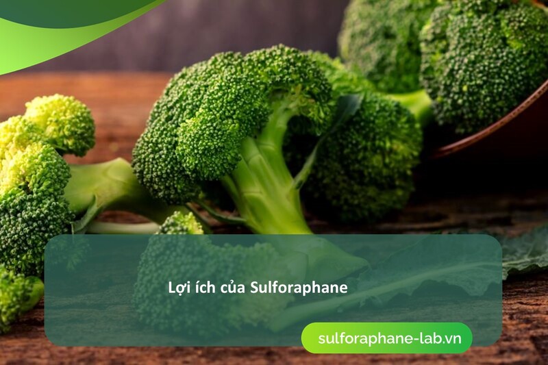 Hình ảnh Sulforaphane foods là gì số 5