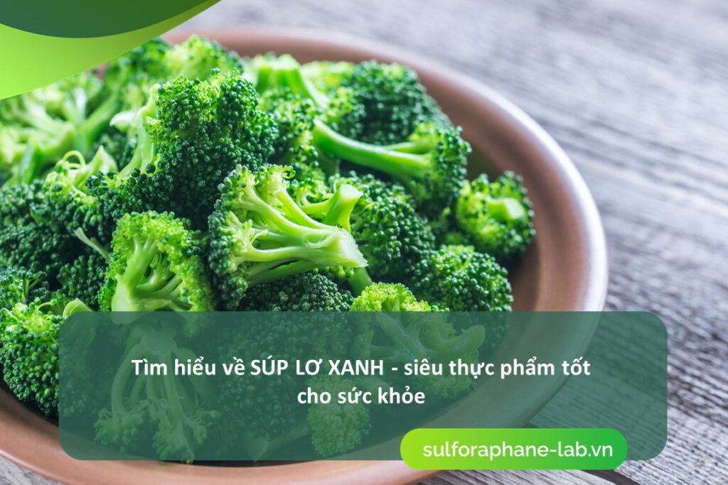 Tim hieu ve sup lo xanh sieu thuc pham tot cho suc khoe