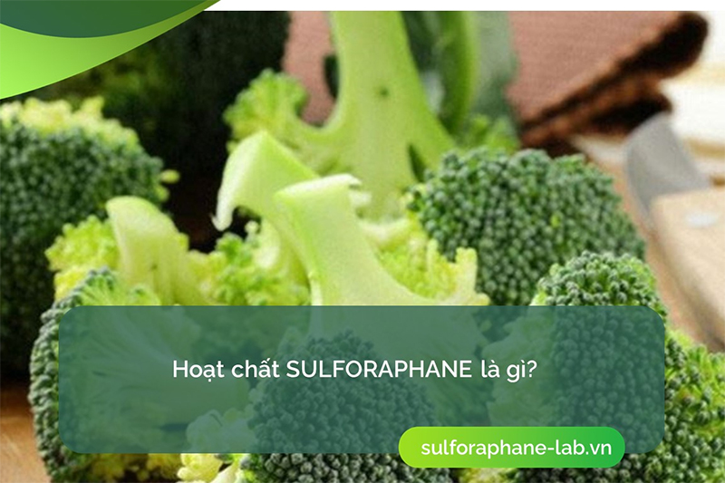 Hoạt chất Sulforaphane