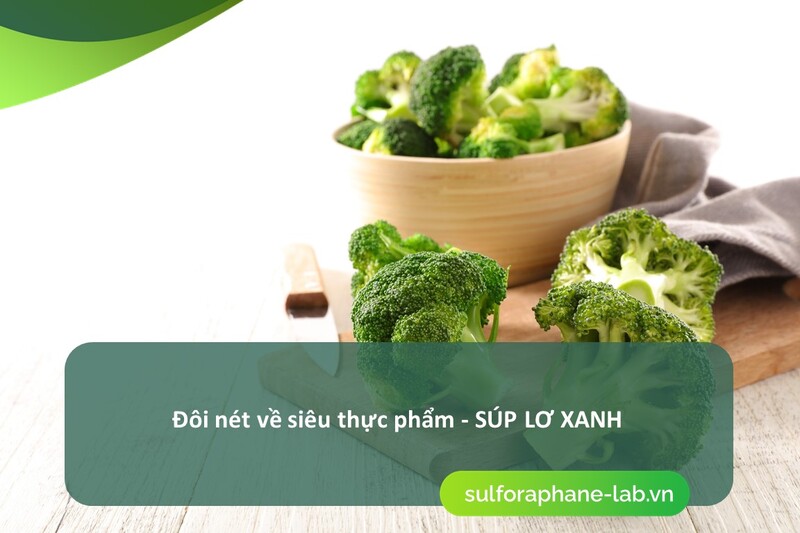 sulforaphane-in-broccoli-sulforaphane-co-trong-sup-lo-xanh-so-1.jpg