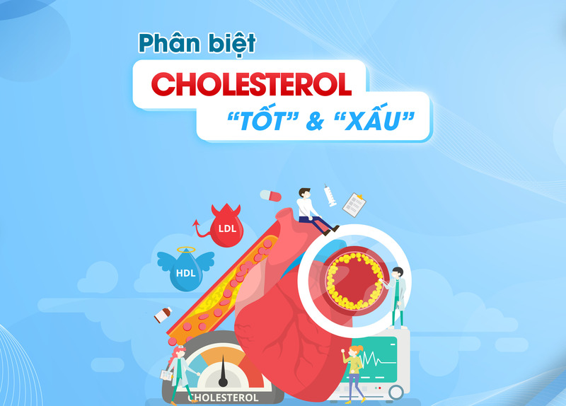 tim-hieu-thong-tin-chi-so-cholesterol-trong-mau-so-2.jpg